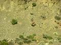 16-Death Valley 0019